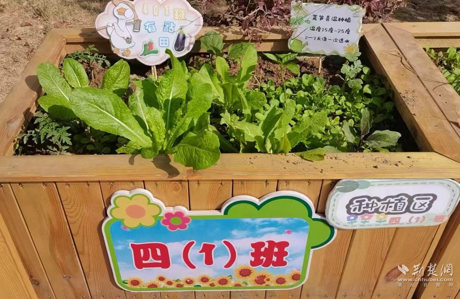 黄陂1.jpg.jpg