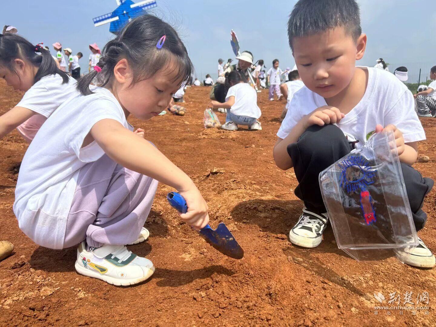 春天的泥藏在有趣的地方