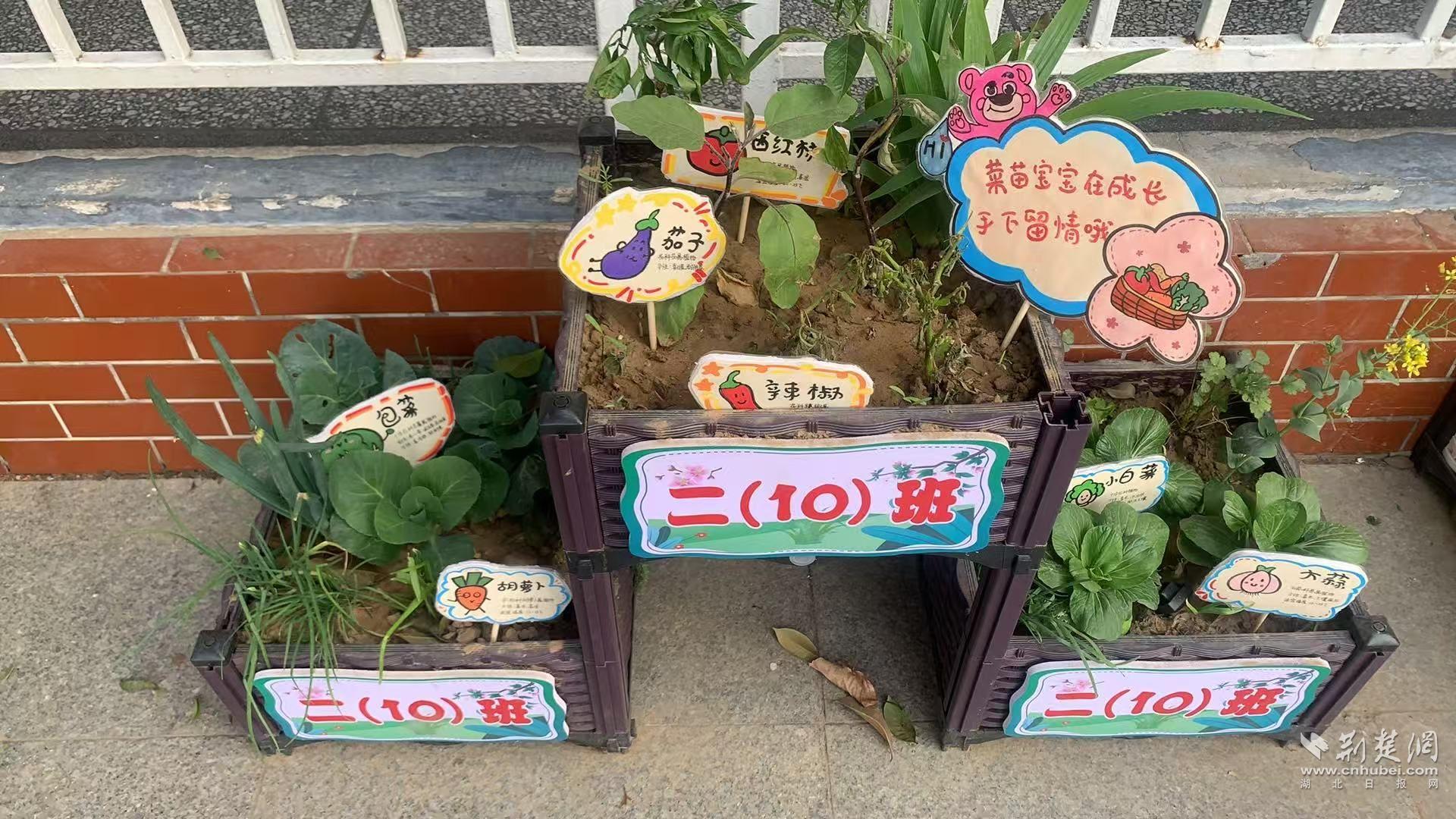 黄陂4.jpg.jpg