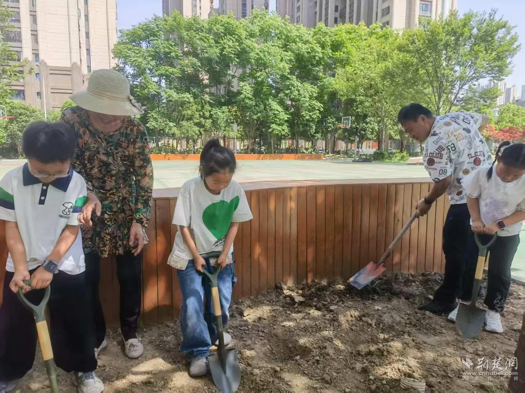 硚口3.jpg.jpg