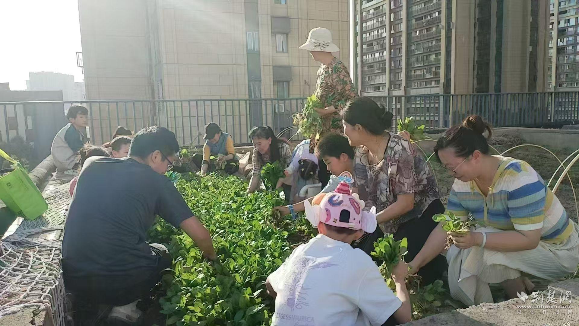 硚口2.jpg.jpg