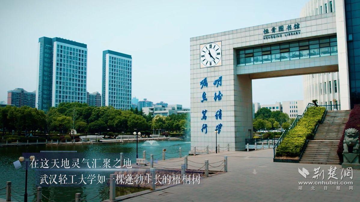 轻工2.png.png