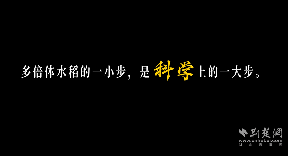 湖北13.png
