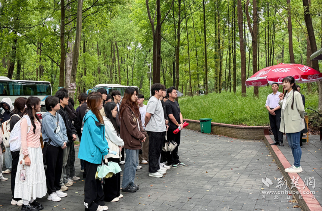 QQ_1777519873087.png.png