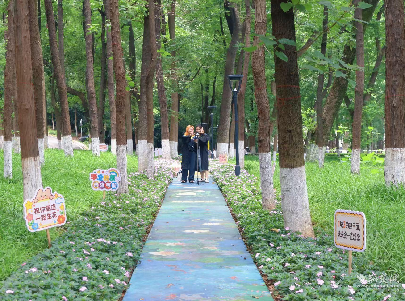 毕业生在花路前拍照打卡。侯佳音 摄 (2).jpg.jpg