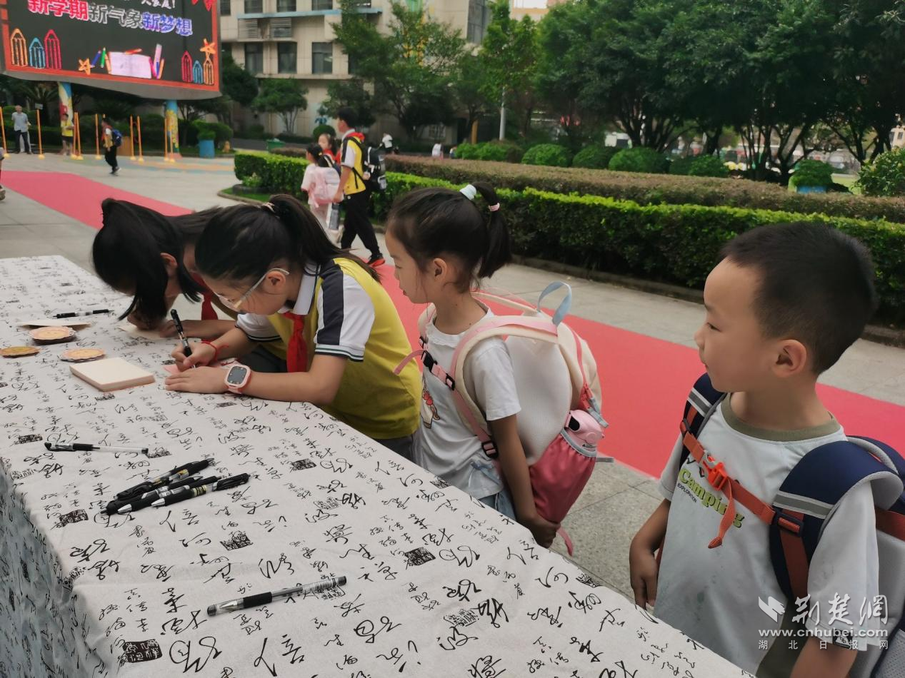 图片5.png.png