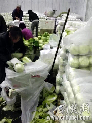 IMG_3520_副本.jpg IMG_3520_副本.jpg