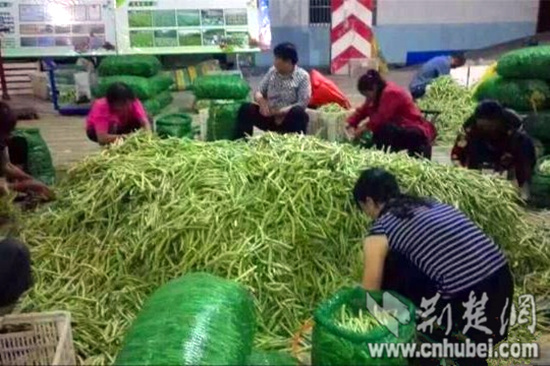 57378100.jpg 57378100.jpg