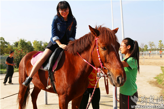 武汉商学院办起马术节 200名学生过足骑马瘾 图