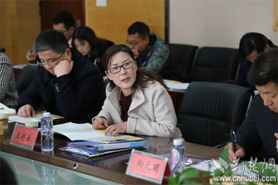 东湖高新区十三五课题开题论证会课堂研究