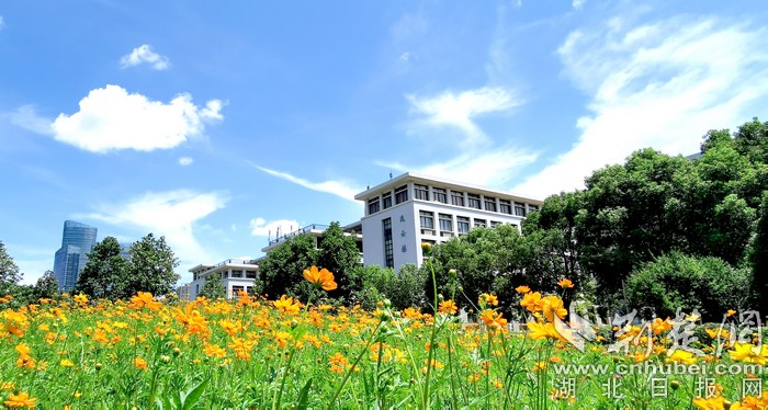武汉职业技术学院风景图片